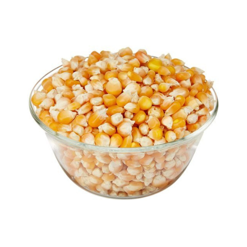 Maize